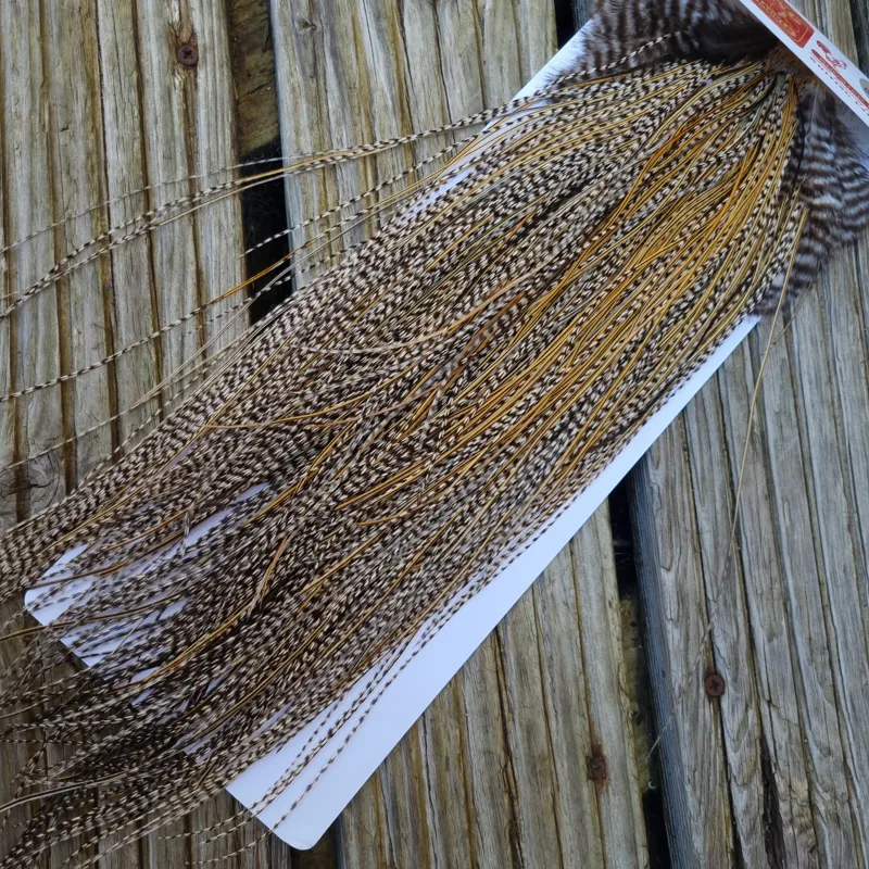 Whiting Pro-Grade Midge Rooster Saddle in Grizzly Variant D Classic Grizzly Splashed with GOLDEN Badger Approx Tying size 14/16/18/20/22/24/26 and OUT OF SIGHT-3