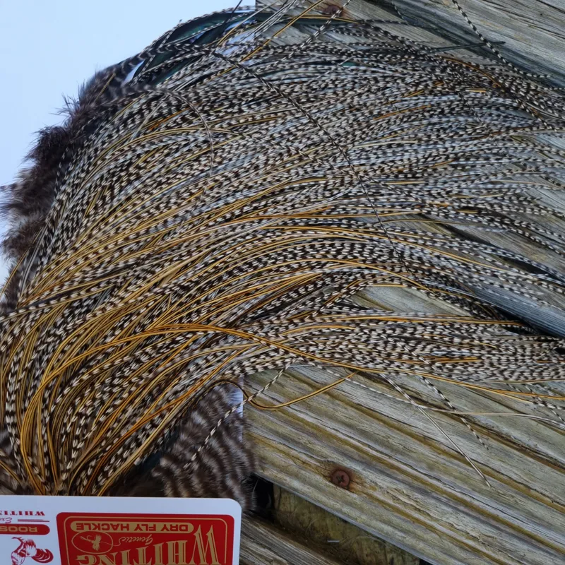 Whiting Pro-Grade Midge Rooster Saddle in Grizzly Variant D Classic Grizzly Splashed with GOLDEN Badger Approx Tying size 14/16/18/20/22/24/26 and OUT OF SIGHT