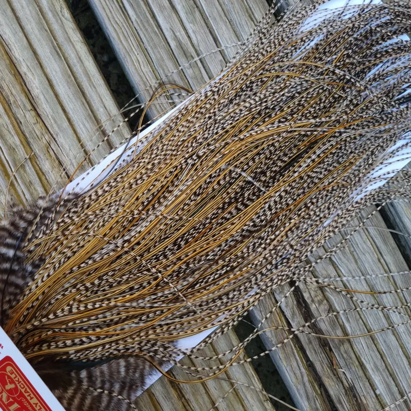 Whiting Pro-Grade Midge Rooster Saddle in Grizzly Variant D Classic Grizzly Splashed with GOLDEN Badger Approx Tying size 14/16/18/20/22/24/26 and OUT OF SIGHT-5