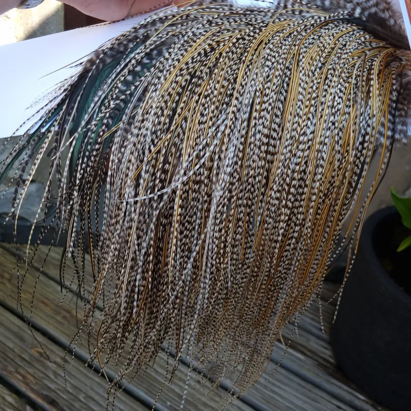 Whiting Pro-Grade Midge Rooster Saddle in Grizzly Variant D Classic Grizzly Splashed with GOLDEN Badger Approx Tying size 14/16/18/20/22/24/26 and OUT OF SIGHT-2