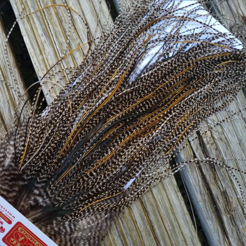 Whiting Pro-Grade Midge Rooster Saddle in Grizzly Variant E Dark Grizzly Splashed with Golden Badger Approx Tying Size 14/16/18-4