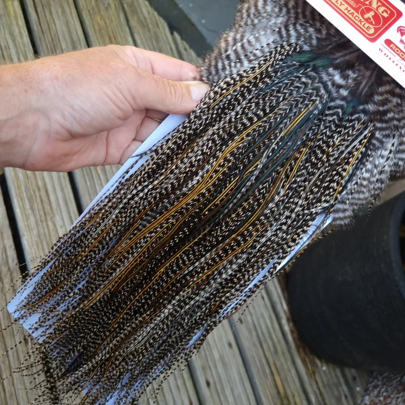 Whiting Pro-Grade Midge Rooster Saddle in Grizzly Variant E Dark Grizzly Splashed with Golden Badger Approx Tying Size 14/16/18-3