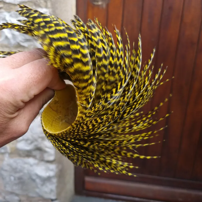 Whiting Exclusive Grizzly Hen Cape in Yellow