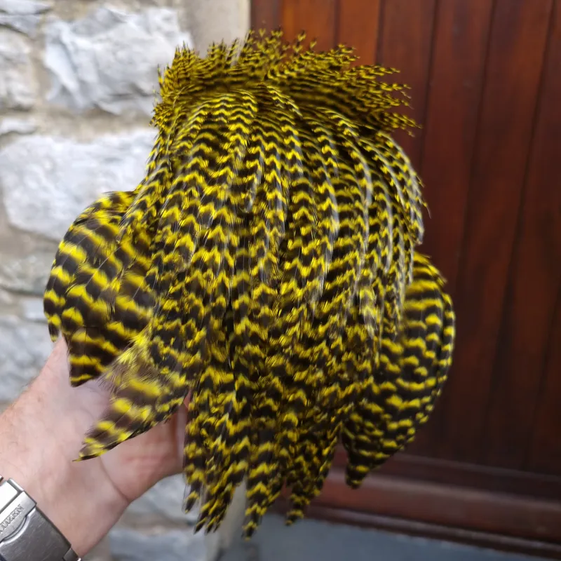 Whiting Exclusive Grizzly Hen Cape in Yellow-2