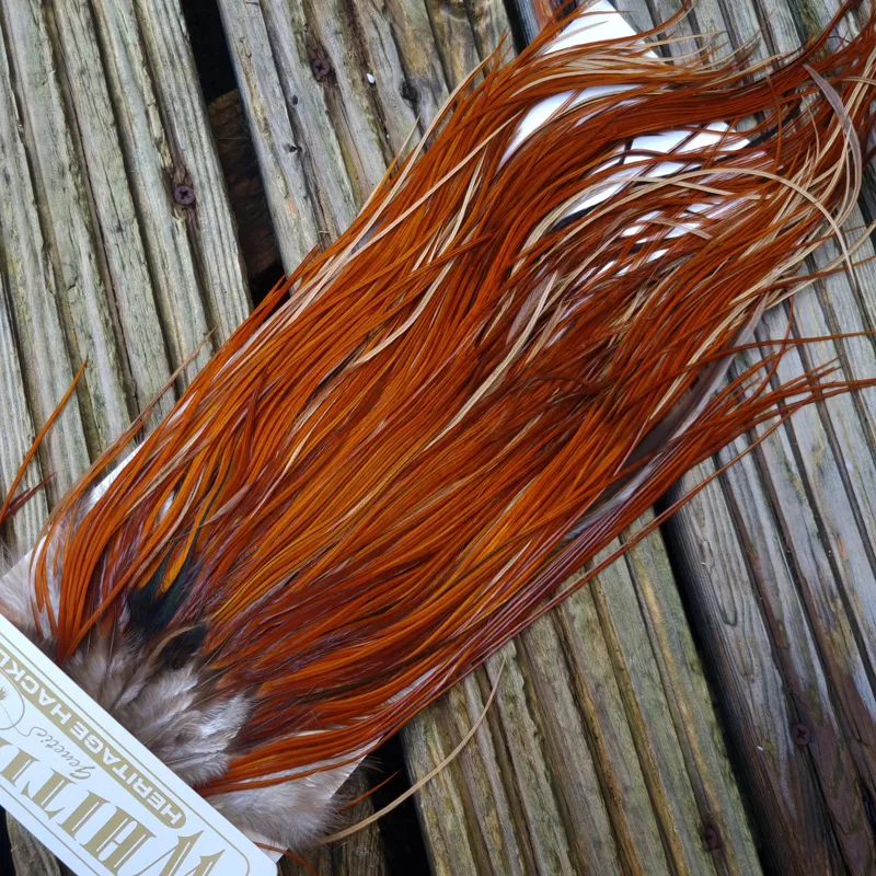 Whiting Heritage Hackles Rooster Saddle in Mixed Colours H Light to Medium Red Game with a Light Splashing of Furnace Tying Approx 12/14/16      -7
