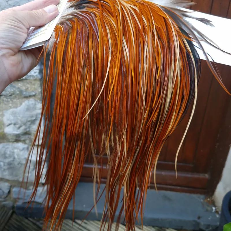 Whiting Heritage Hackles Rooster Saddle in Mixed Colours H Light to Medium Red Game with a Light Splashing of Furnace Tying Approx 12/14/16      -4