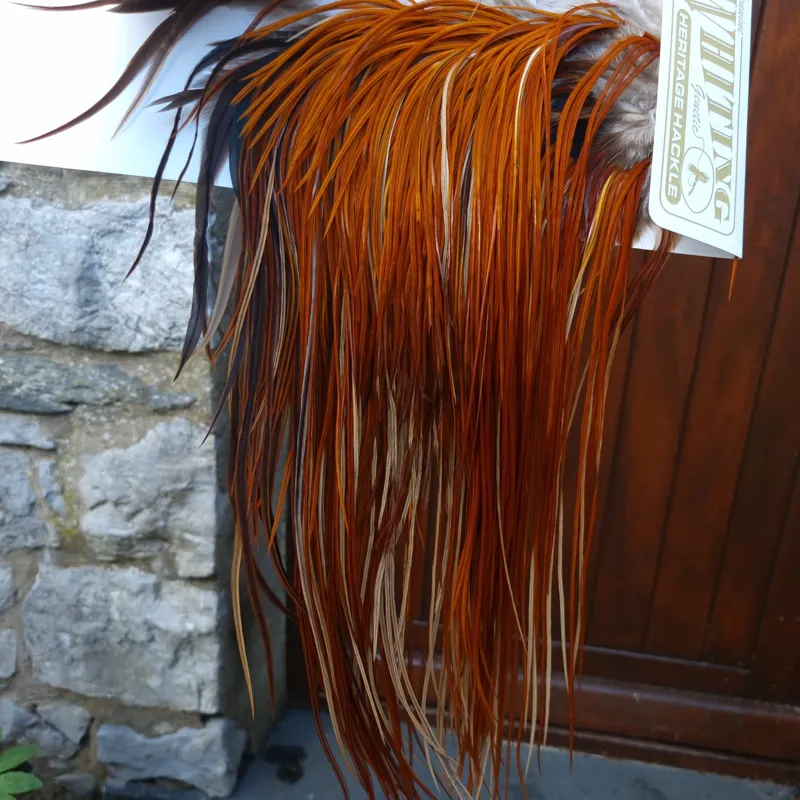 Whiting Heritage Hackles Rooster Saddle in Mixed Colours H Light to Medium Red Game with a Light Splashing of Furnace Tying Approx 12/14/16      -9