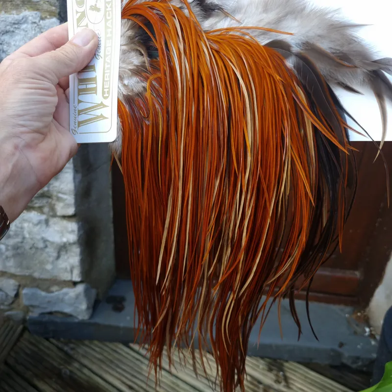 Whiting Heritage Hackles Rooster Saddle in Mixed Colours H Light to Medium Red Game with a Light Splashing of Furnace Tying Approx 12/14/16      -6