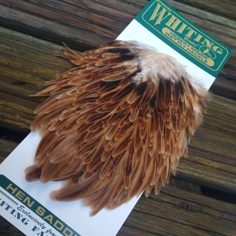 Whiting Hebert Miner Hen Saddle in Brown-3