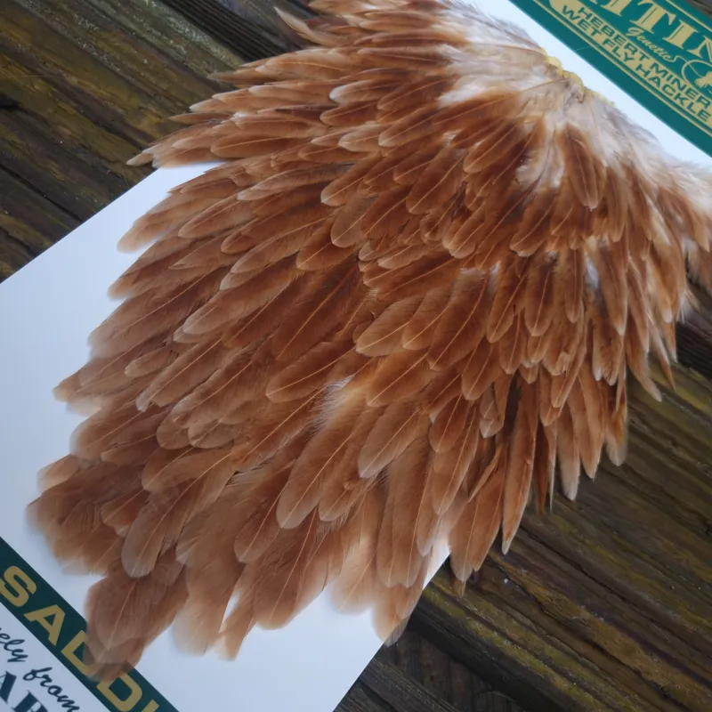 Whiting Hebert Miner Hen Saddle in Brown-5