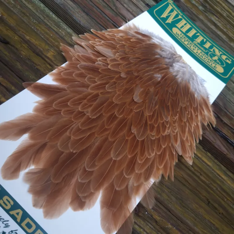 Whiting Hebert Miner Hen Saddle in Brown-7