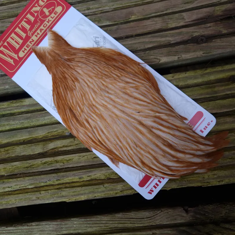 Whiting Hen Cape in Medium Ginger A