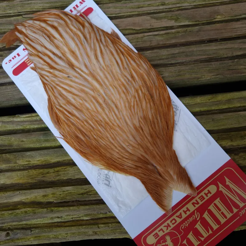 Whiting Hen Cape in Medium Ginger A-5