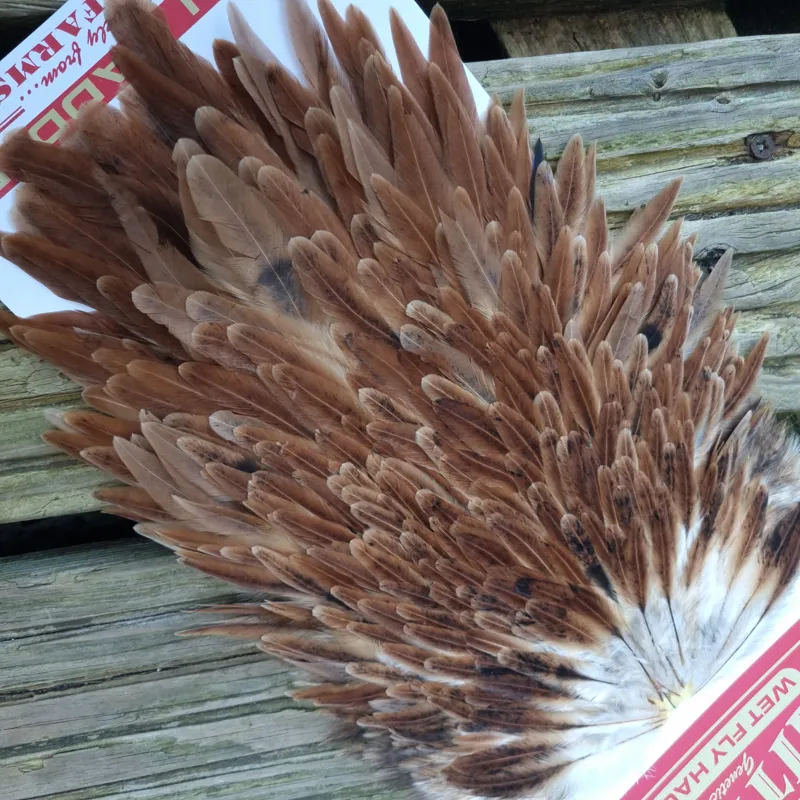 Whiting Hen Saddle in Brown-5