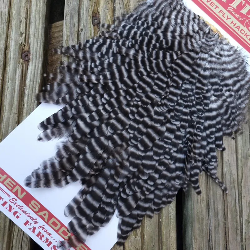 Whiting Hen Saddle in Grizzly-3