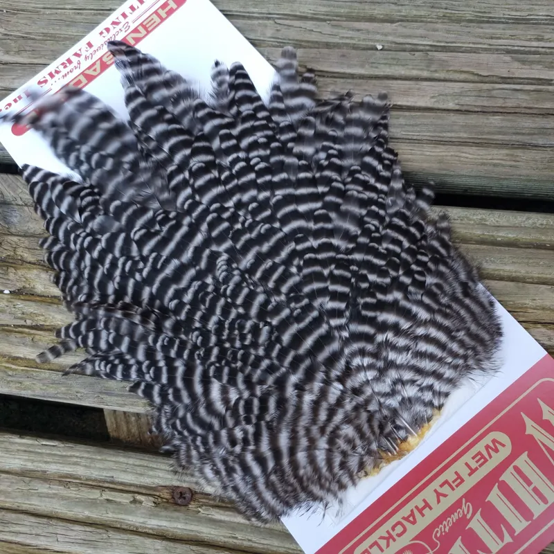 Whiting Hen Saddle in Grizzly-2