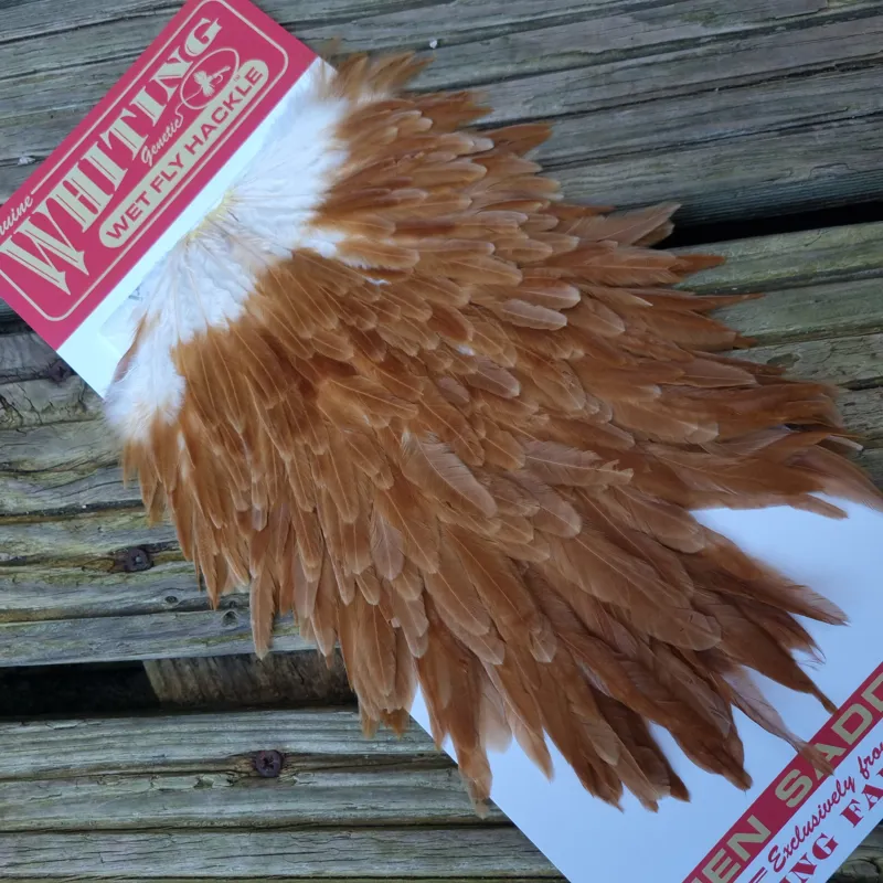 Whiting Hen Saddle in Medium Ginger