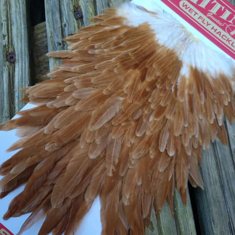 Whiting Hen Saddle in Medium Ginger-4