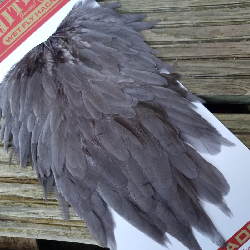 Whiting Hen Saddle in Dark Dun-3