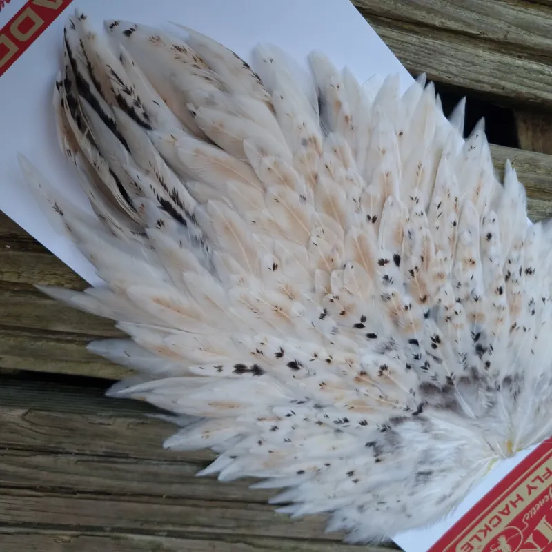 Whiting Hen Saddle in Light Ginger-3