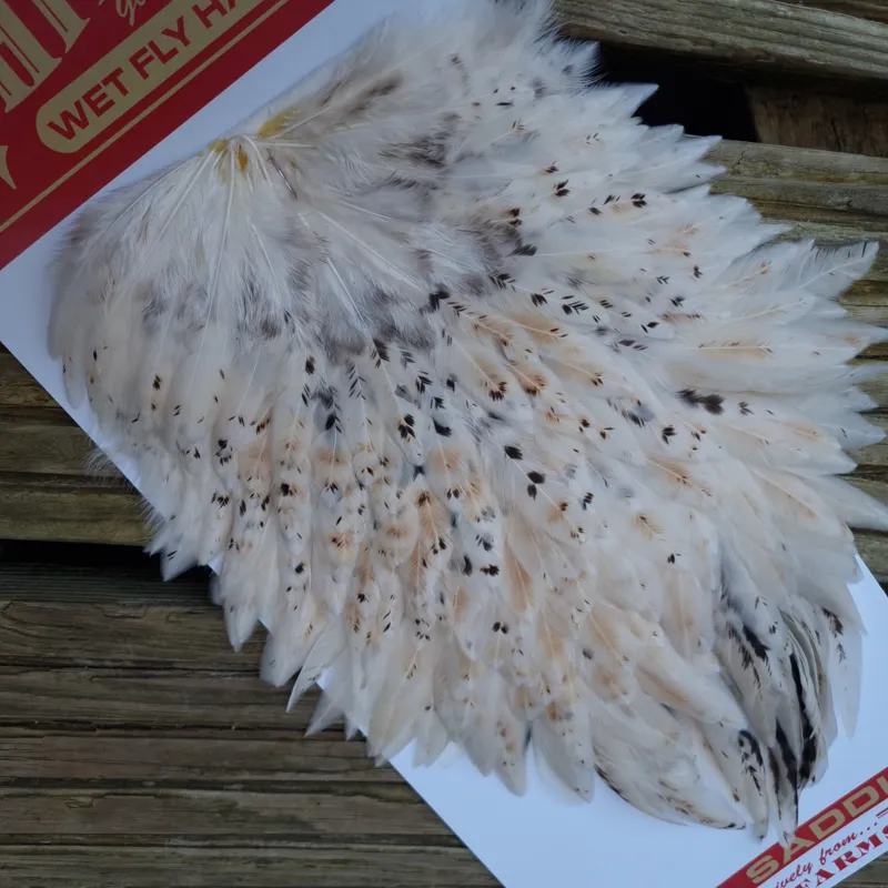 Whiting Hen Saddle in Light Ginger-5