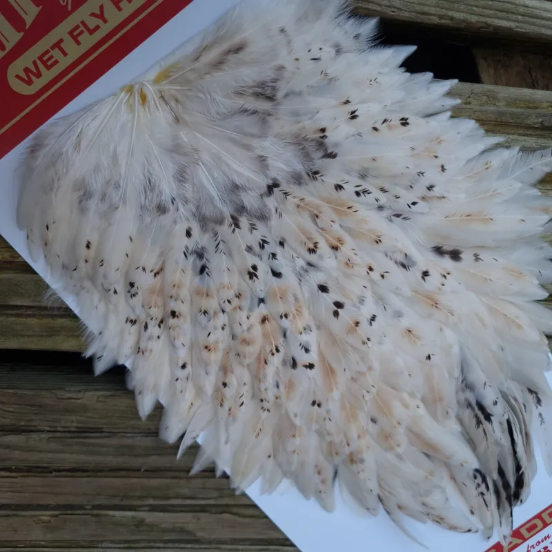 Whiting Hen Saddle in Light Ginger-7