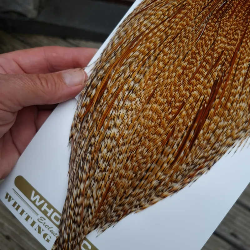 Whiting Heritage Hackles Rooster Cape in Mixed Colours Barred Dark Ginger/Classic CREE A -3