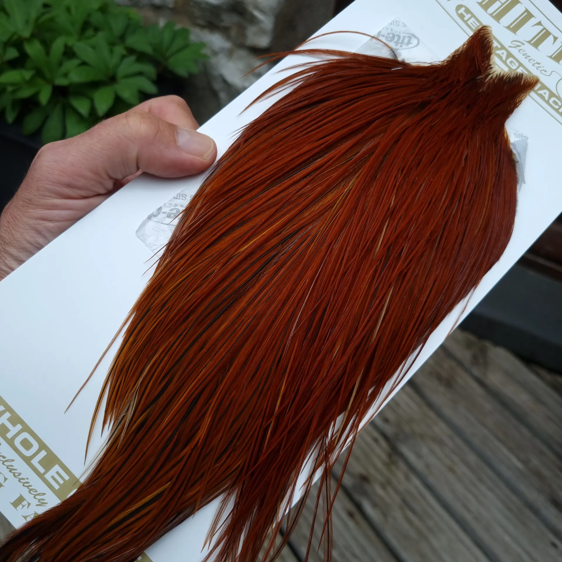 Indischer Hahnhals HELLROT Fliegenmontage Cock Neck Rooster Cape