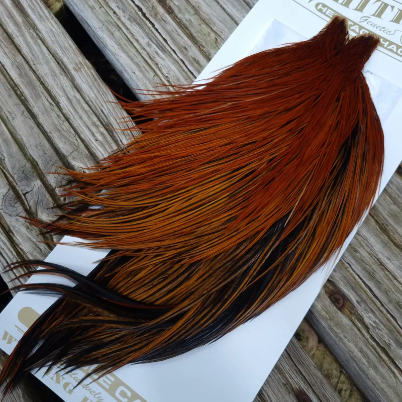 Whiting Heritage Hackles Rooster Cape in Mixed Colours N Fire Red Game/Hot Furnace-1