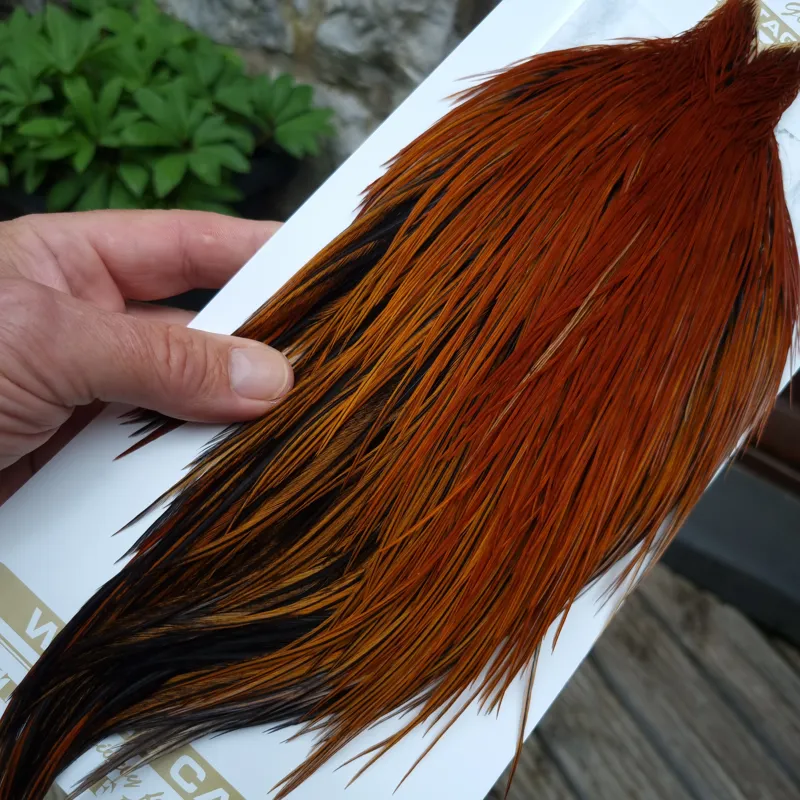 Whiting Heritage Hackles Rooster Cape in Mixed Colours N Fire Red Game/Hot Furnace-7