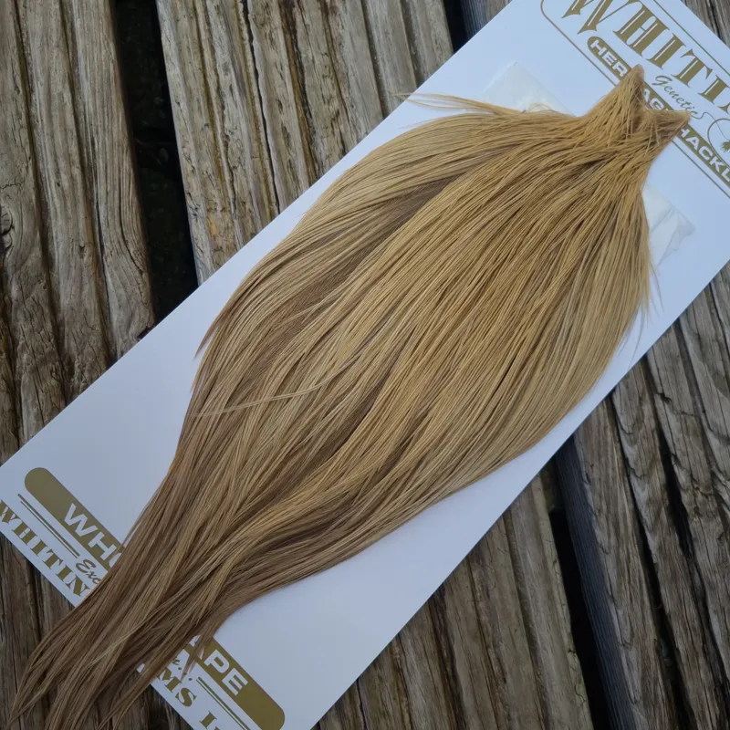 Whiting Heritage Hackles Rooster Cape in Mixed Colours I Light Champagne/Champagne Badger -3