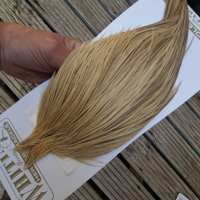 Whiting Heritage Hackles Rooster Cape in Mixed Colours I Light Champagne/Champagne Badger -4