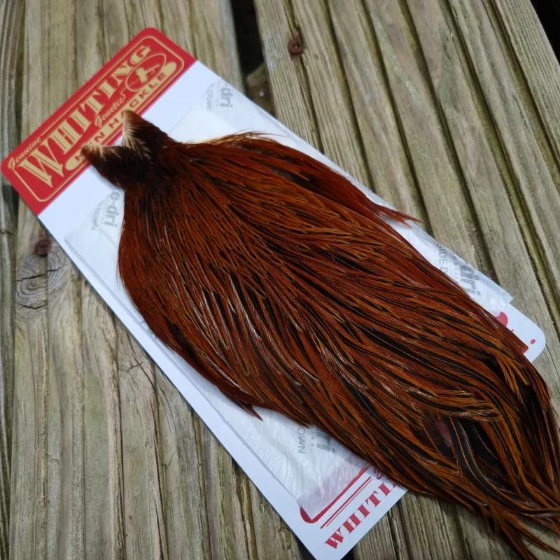 Whiting Hen Cape in Furnace B