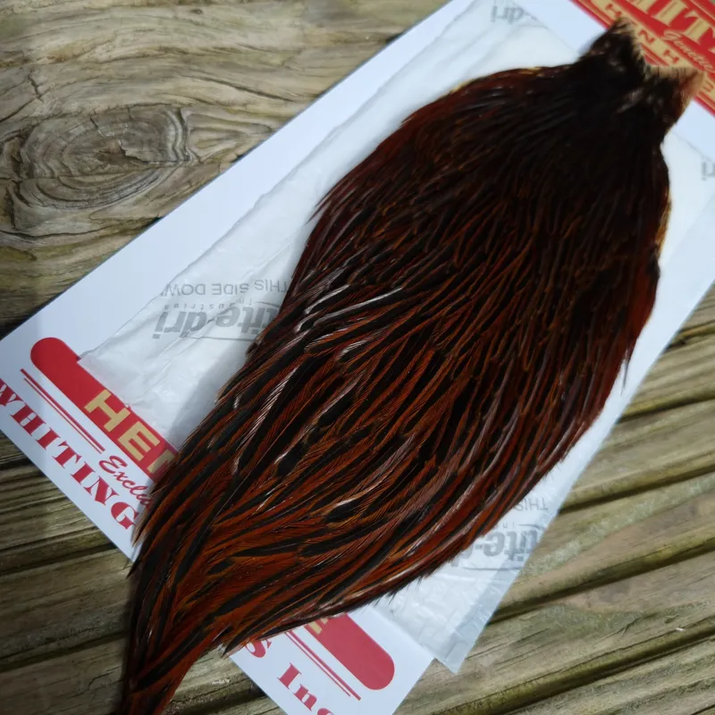 Whiting Hen Cape in Furnace E-3