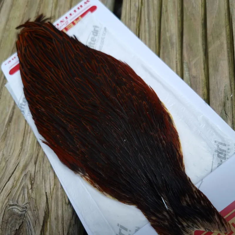 Whiting Hen Cape in Furnace E-2