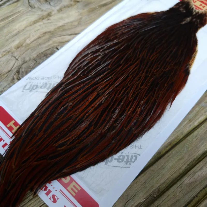 Whiting Hen Cape in Furnace E