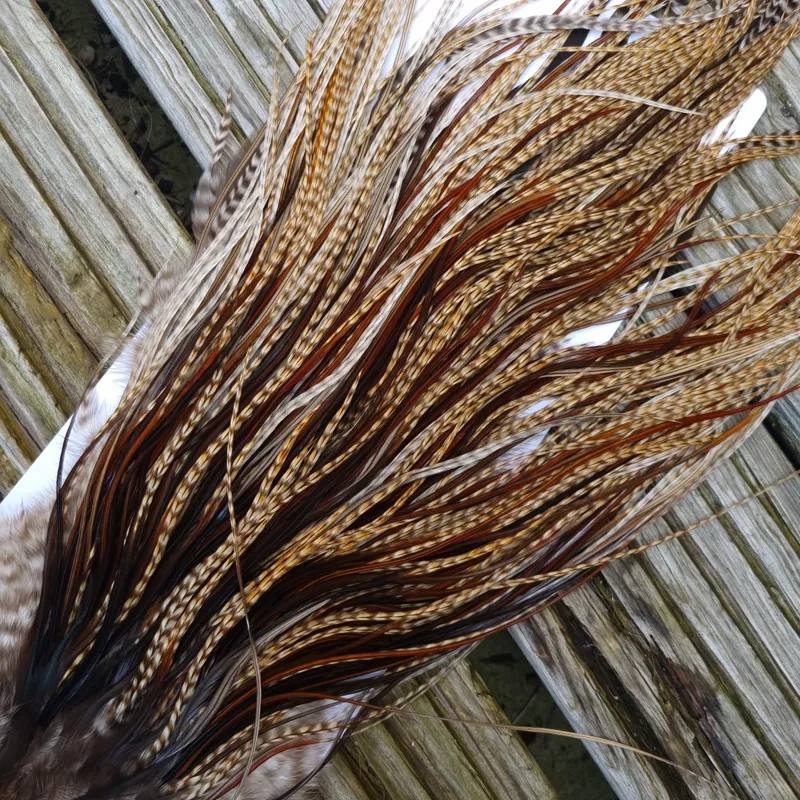 Whiting Heritage Hackles Rooster Saddle in Mixed Colours K Dun Cree/Furnace/Coch-y-Bonddu/Rusty Dun/Natural Black Tying Approx 10/12 /14 with a few 16-4