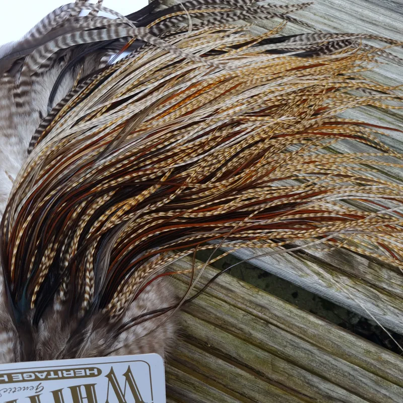 Whiting Heritage Hackles Rooster Saddle in Mixed Colours K Dun Cree/Furnace/Coch-y-Bonddu/Rusty Dun/Natural Black Tying Approx 10/12 /14 with a few 16-5