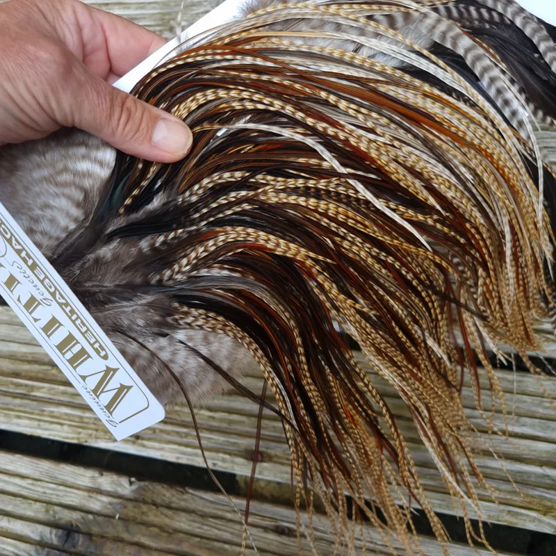 Whiting Heritage Hackles Rooster Saddle in Mixed Colours K Dun Cree/Furnace/Coch-y-Bonddu/Rusty Dun/Natural Black Tying Approx 10/12 /14 with a few 16-1