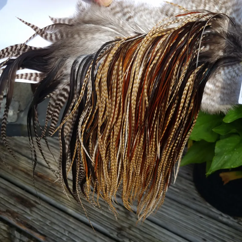Whiting Heritage Hackles Rooster Saddle in Mixed Colours K Dun Cree/Furnace/Coch-y-Bonddu/Rusty Dun/Natural Black Tying Approx 10/12 /14 with a few 16-2