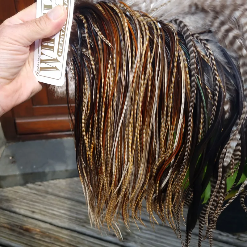 Whiting Heritage Hackles Rooster Saddle in Mixed Colours K Dun Cree/Furnace/Coch-y-Bonddu/Rusty Dun/Natural Black Tying Approx 10/12 /14 with a few 16