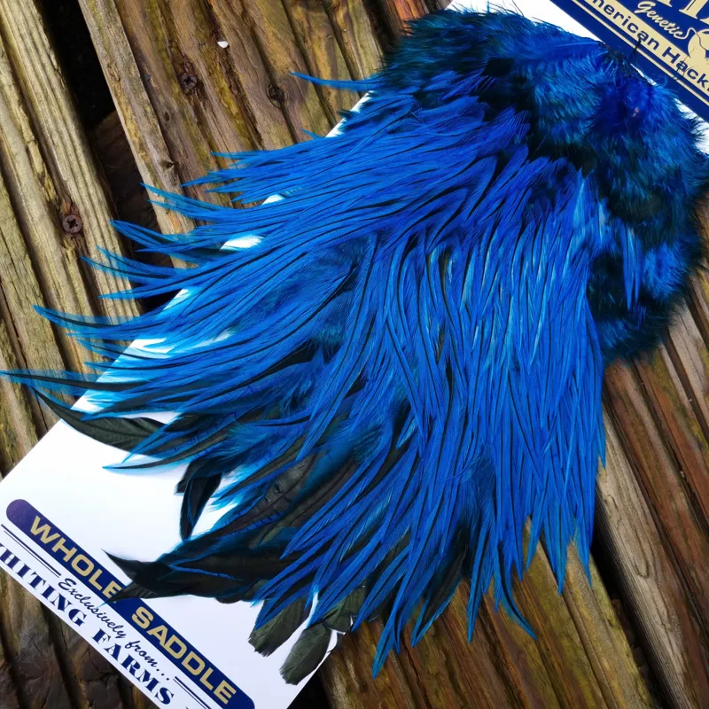 Whiting American Rooster Saddle in Silver Badger Dyed Kingfisher Blue-2