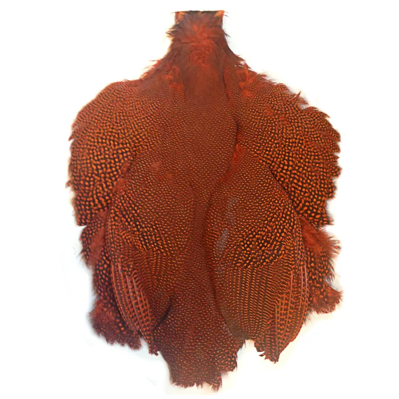 Whiting Farms Large Monster Guinea Fowl Skins-2