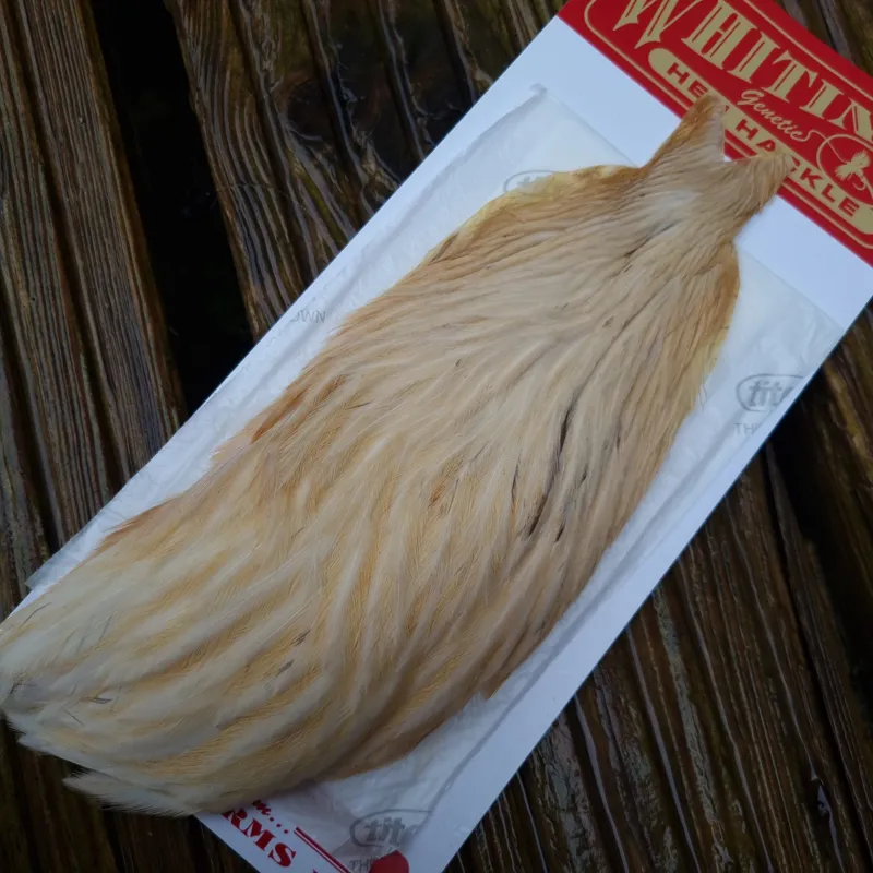 Whiting Hen Cape in Light Ginger B