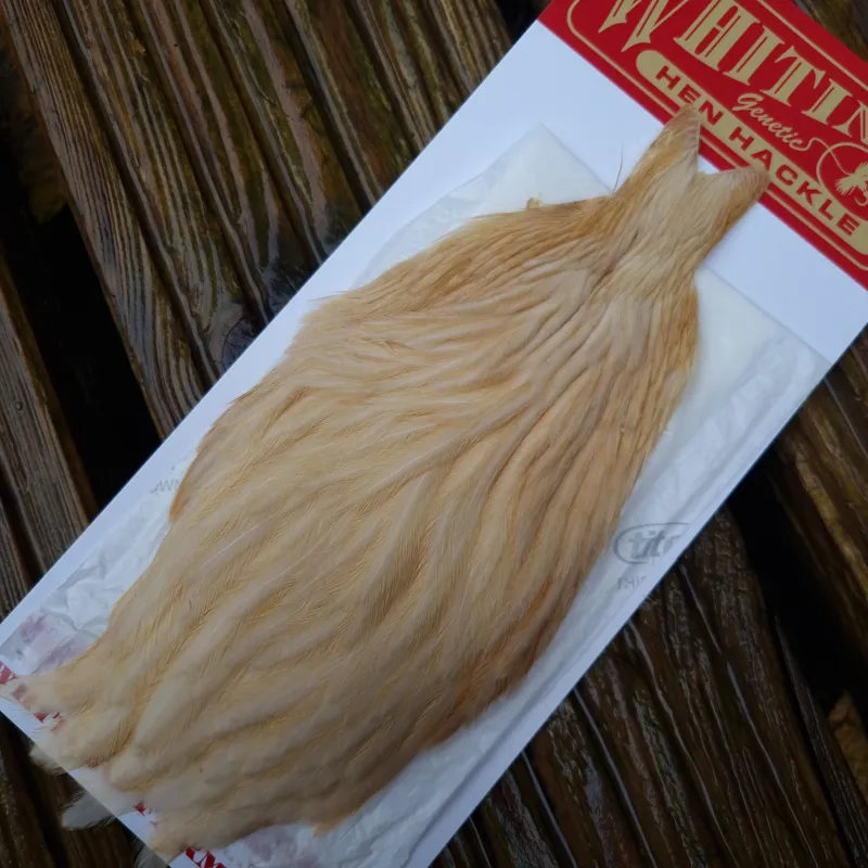 Whiting Hen Cape in Light Ginger C