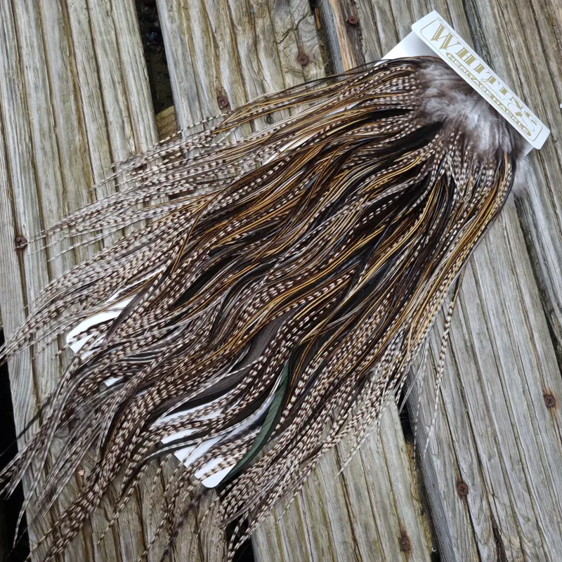 Whiting Heritage Hackles Rooster Saddle in Mixed Colours M Grizzly/Golden Badger/Speckled Badger/Natural Black  Approx tying sizes 10/12 some 14-2