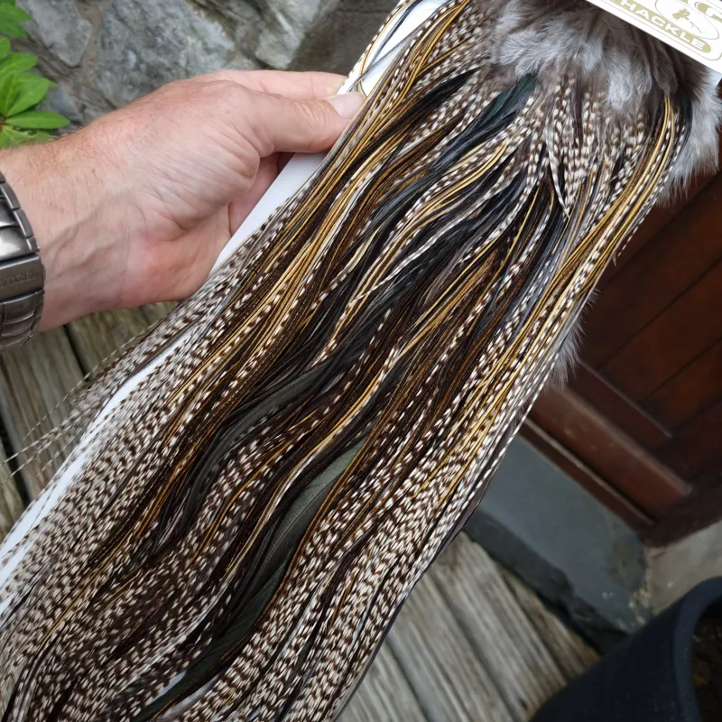 Whiting Heritage Hackles Rooster Saddle in Mixed Colours M Grizzly/Golden Badger/Speckled Badger/Natural Black  Approx tying sizes 10/12 some 14-4