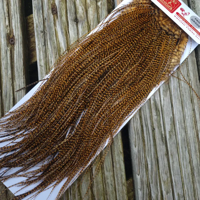 Whiting Pro-Grade Midge Rooster Saddle in Grizzly Dyed March Brown A Approx Tying Sizes 14/16/18/20/22 /24 and out of sight-6