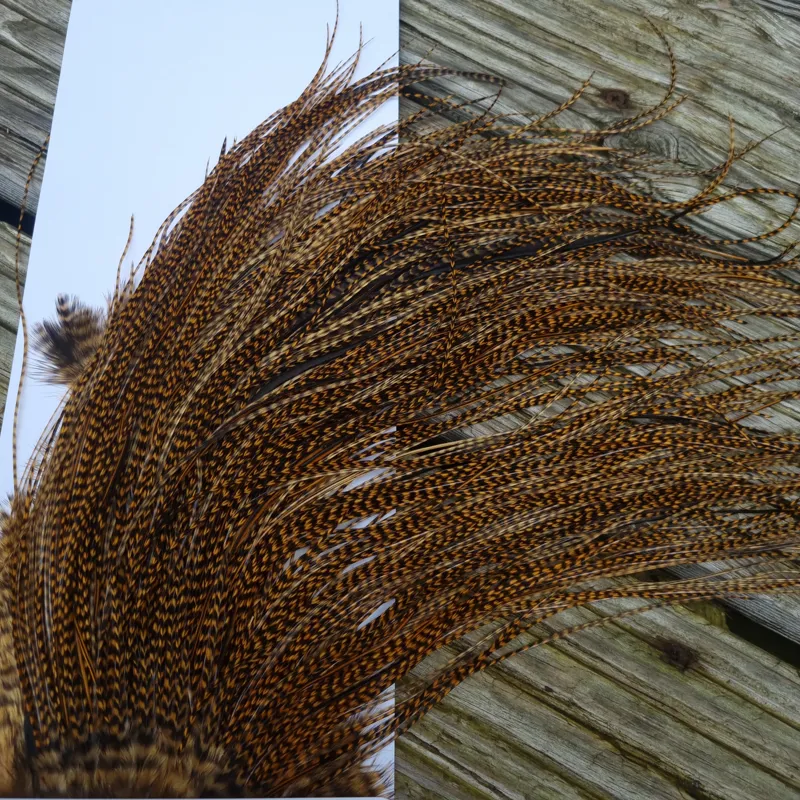 Whiting Pro-Grade Midge Rooster Saddle in Grizzly Dyed March Brown A Approx Tying Sizes 14/16/18/20/22 /24 and out of sight-7