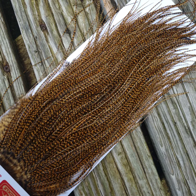 Whiting Pro-Grade Midge Rooster Saddle in Grizzly Dyed March Brown A Approx Tying Sizes 14/16/18/20/22 /24 and out of sight-5